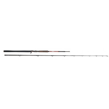 Canna HART TORO BIG BAIT TS - 2,70mt - 80/200gr